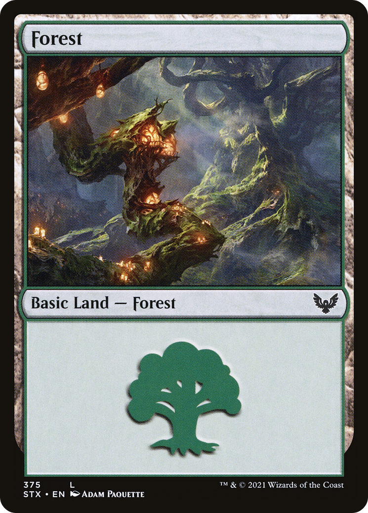 Forest (STX-375) - Strixhaven: School of Mages Foil