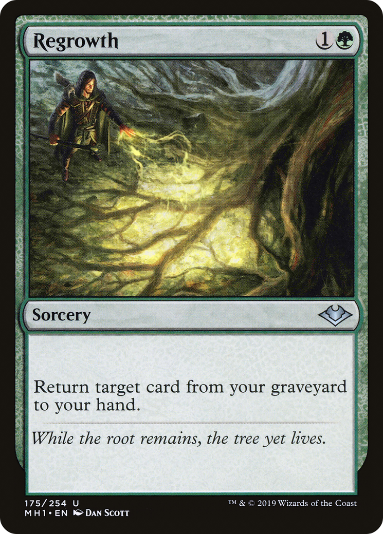 Regrowth (MH1-175) - Modern Horizons Foil