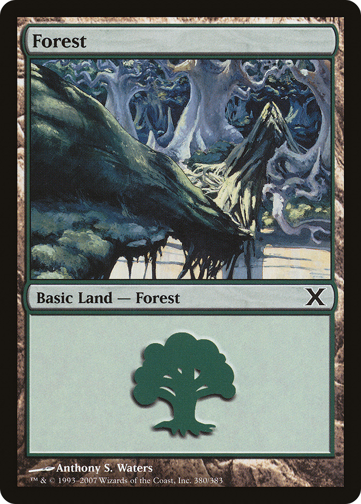 Forest (10E-380) - Tenth Edition Foil